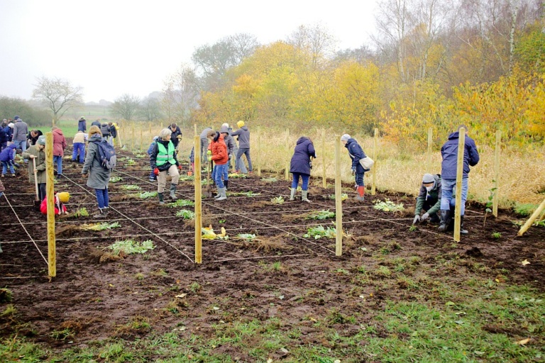 Pflanzaktion in Quickborn am 19.11.2022 - Citizens Forests